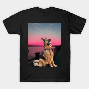 Dog,alsation,sunset T-Shirt